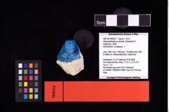 NHMW-GEO-2007z0149-0011_Ol_01.tifAbyssophthalmus schultzi (Schweitzer & Feldmann, 2009)  (NHMW-GEO-2007z0149-0011)